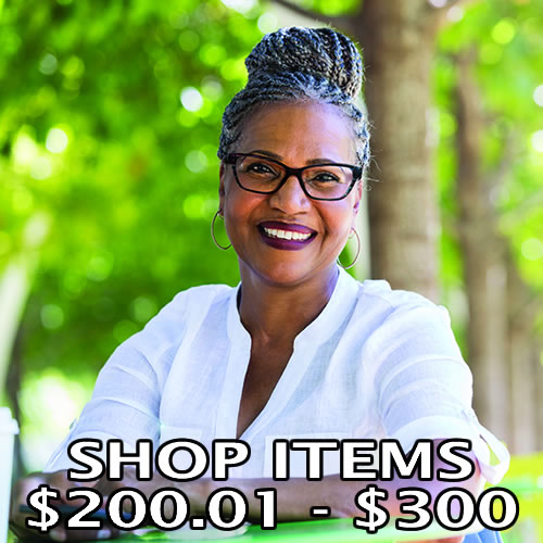 $200.01 - $300